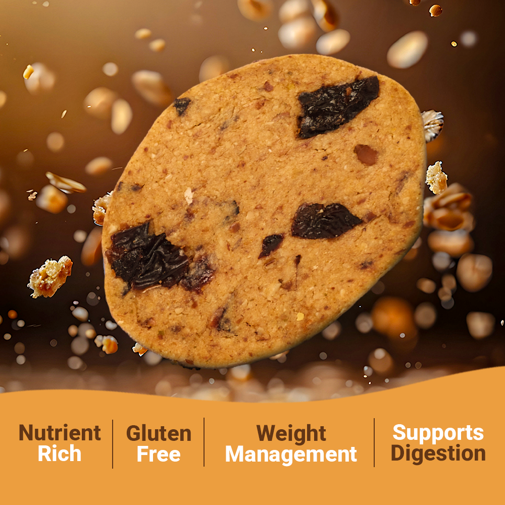 Single cookie with floating ingredients
“Healthy cinnamon raisin oatmeal cookie – nutrient-rich, gluten-free, supports digestion, made with natural wholesome ingredients.”