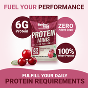 Protein Minis – Cranberry Zest