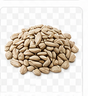 Sunflower Seeds